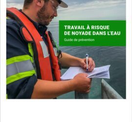 Capture decran 18 2 2026 11555 www.cnesst.gouv .qc .ca