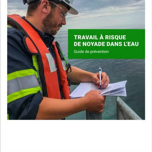 Capture decran 18 2 2026 11555 www.cnesst.gouv .qc .ca